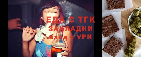 шишки Горняк