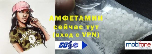 шишки Горняк