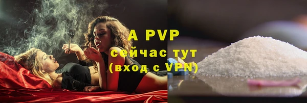 шишки Горняк