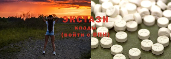 шишки Горняк