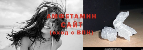 шишки Горняк