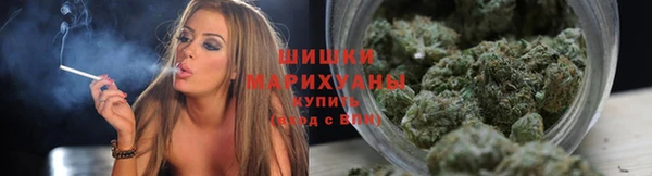 шишки Горняк