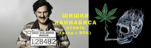 трава Горно-Алтайск
