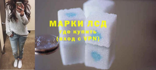 шишки Горняк