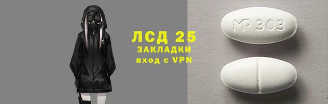 шишки Горняк