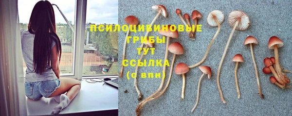 трава Горно-Алтайск