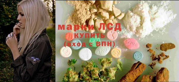 шишки Горняк
