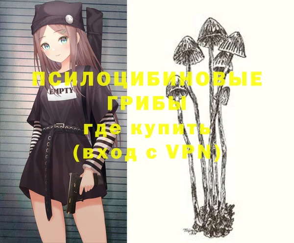 шишки Горняк