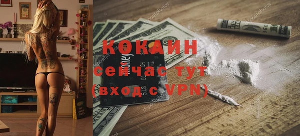шишки Горняк