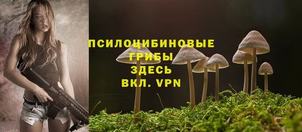 крисы Горнозаводск
