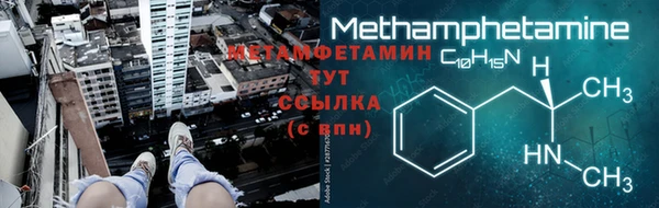 шишки Горняк