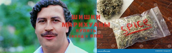 крисы Горнозаводск