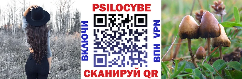 Псилоцибиновые грибы мицелий  Родники 
